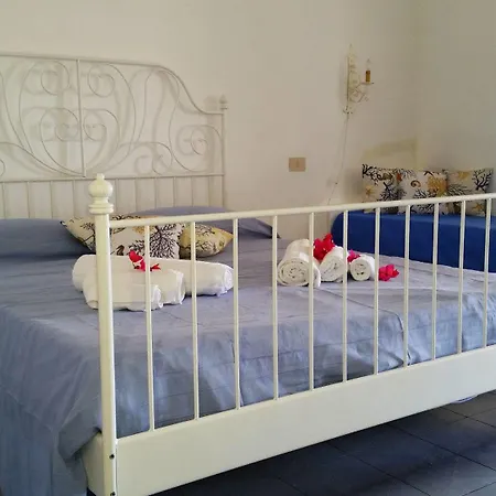 Guest house Casual Panareal