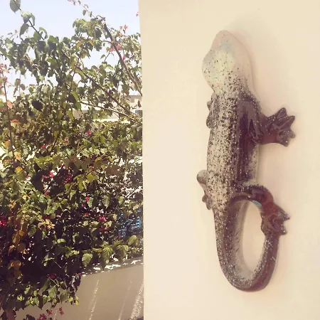 Guest house Casual Panareal Acquacalda