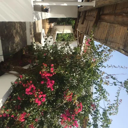 Guest house Casual Panareal 3*