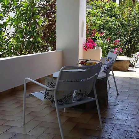 Casual Panareal Guest house